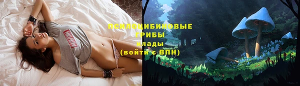 гашик Ветлуга