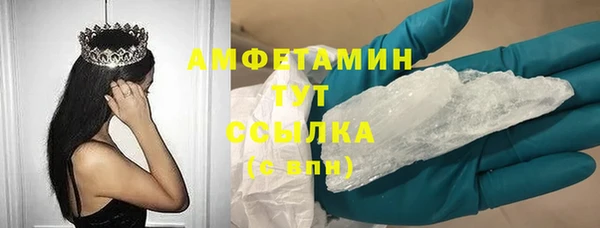 гашик Ветлуга