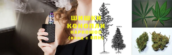 гашик Ветлуга