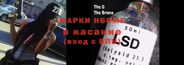 гашик Ветлуга