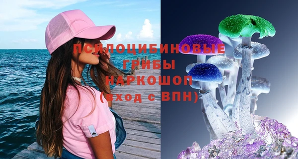 дживик Тайга