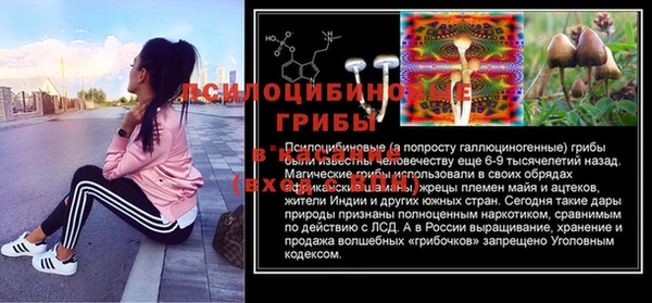 мдпв Видное