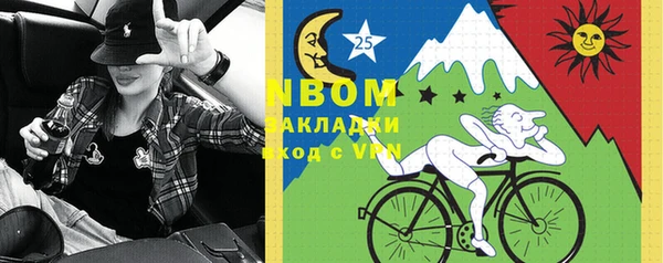 гашик Ветлуга