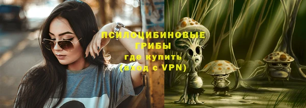 гашик Ветлуга