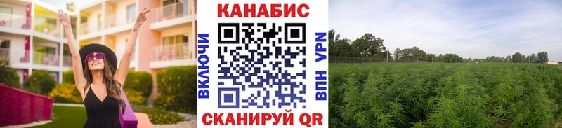 МАРИХУАНА индика  Уржум 